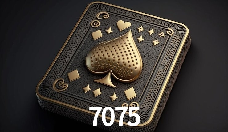 Experiência VIP 7075